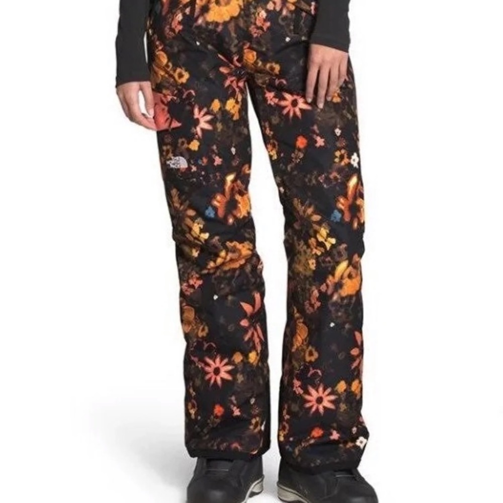 The north face snow pants